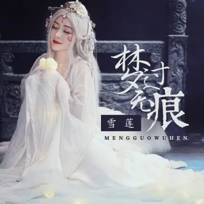 梦过无痕 - 雪莲封面