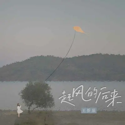 起风的后来封面