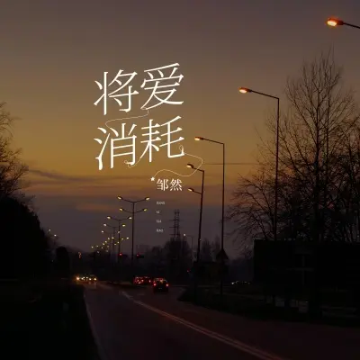 将爱消耗封面