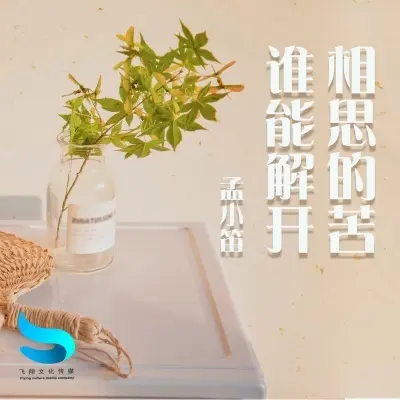 谁能解开相思的苦封面