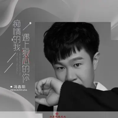 痴情的我遇上狠心的你 (DJ版) - 冯鑫阳封面