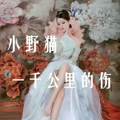 一千公里的伤 - 小野猫封面