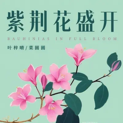 紫荆花盛开封面