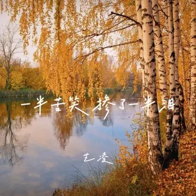 一半苦笑掺了一半泪封面