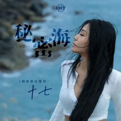 秘密海 (Live合唱版)封面