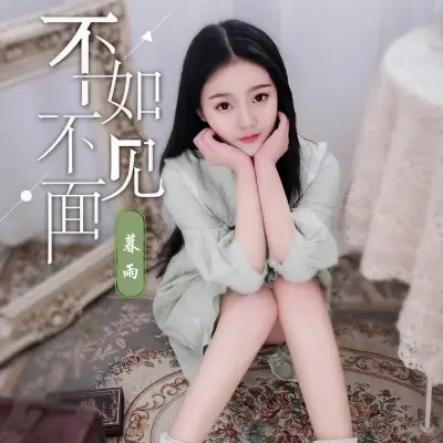 不如不见面封面