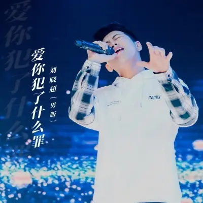 爱你犯了什么罪 (男版DJ默涵版)封面
