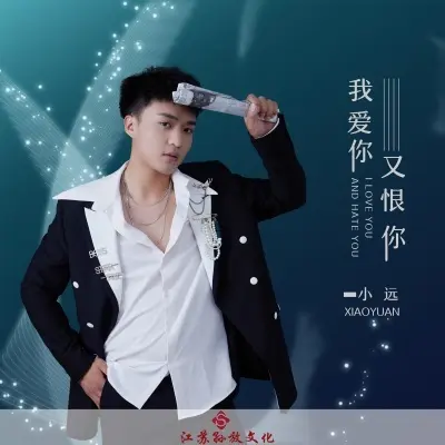 我爱你又恨你 (完整版)封面