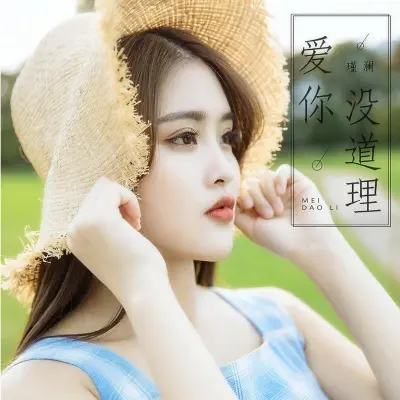 爱你没道理封面