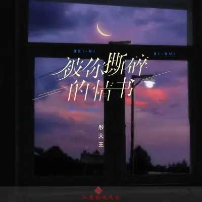 被你撕碎的情书 (完整版)封面