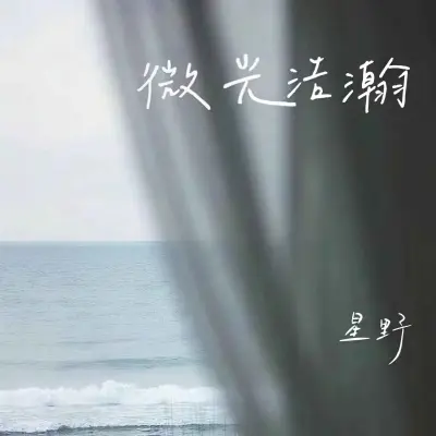 微光浩瀚封面