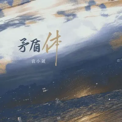 矛盾体 - 袁小葳封面