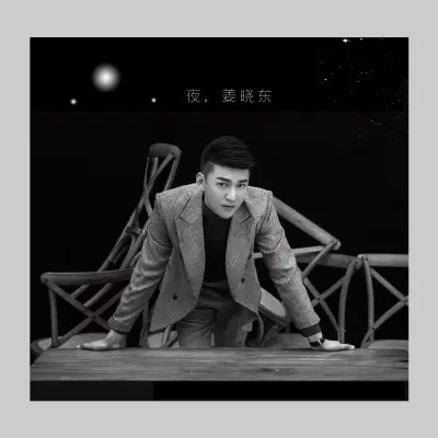 想你的夜 (咚鼓版)封面