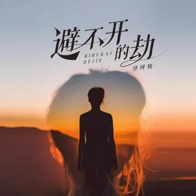 避不开的劫封面