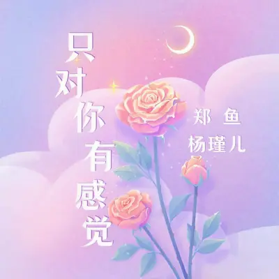 只对你有感觉封面