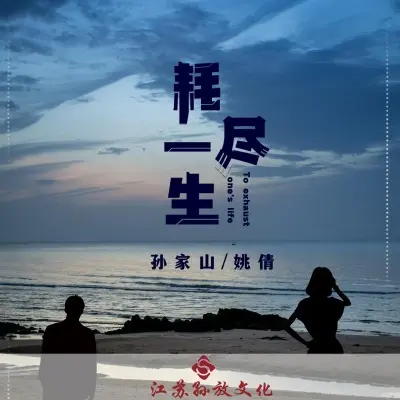 耗尽一生 (对唱DJ版)封面