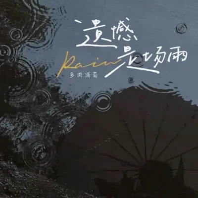遗憾是场雨封面