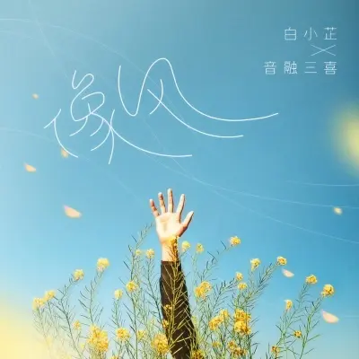 像风封面