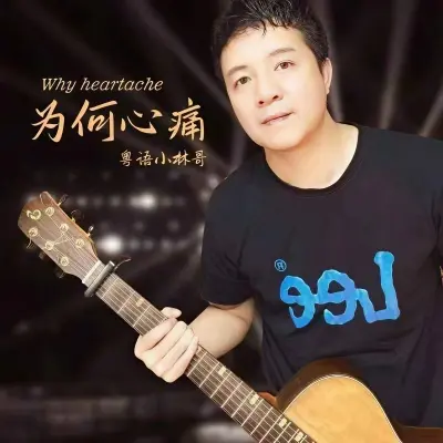 我爱你最真你伤我最深 (国粤双语版)封面