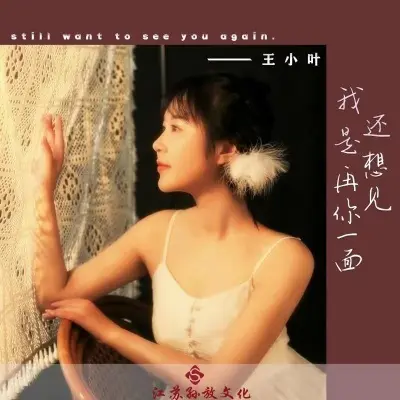 我还是想再见你一面 (完整版)封面