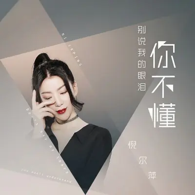 别说我的眼泪你不懂 - 倪尔萍封面