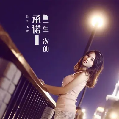一生一次的承诺封面