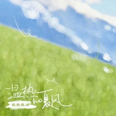 温热的夏风封面