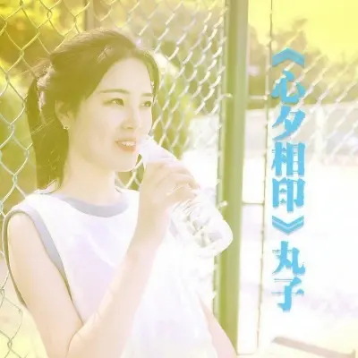 心夕相印封面