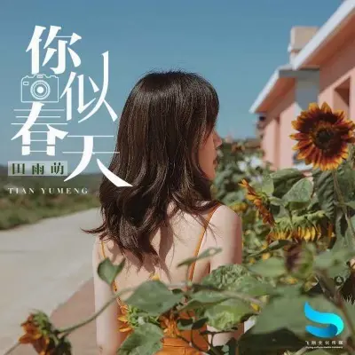 你似春天封面