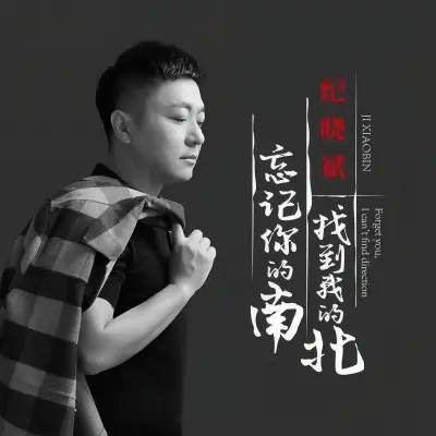 忘记你的南找到我的北 (DJ黑狼版)封面