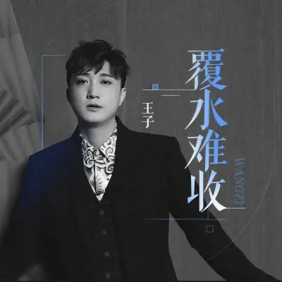 覆水难收封面