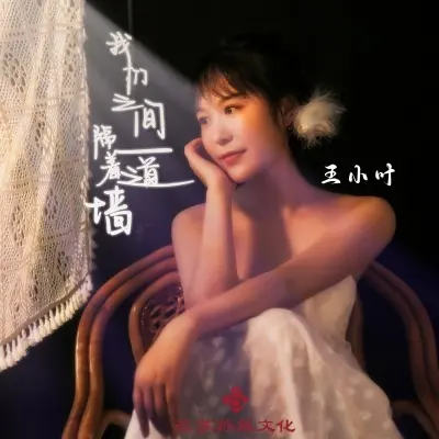 我们之间隔着一道墙 (DJ版)封面