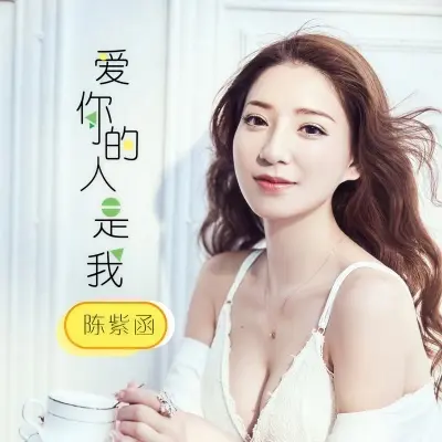 爱你的人是我封面