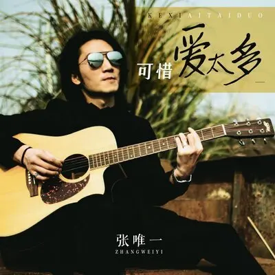 可惜爱太多封面