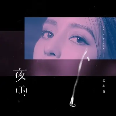 夜雨封面