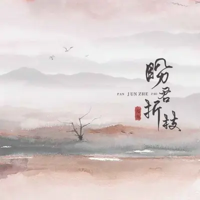 盼君折枝 (DJ亚明版)封面