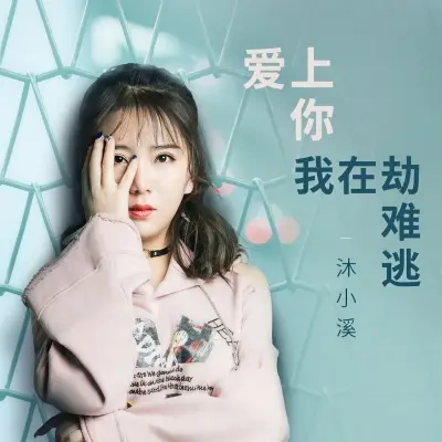 爱上你我在劫难逃封面