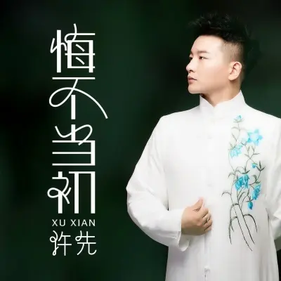 悔不当初封面
