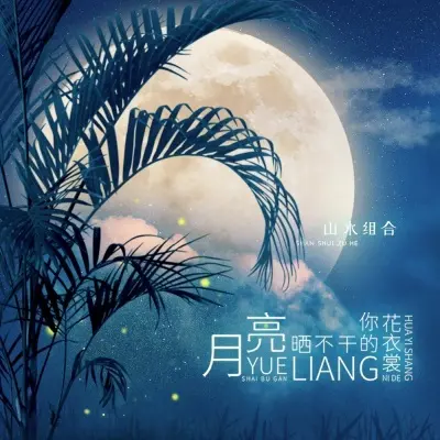 月亮晒不干你的花衣裳封面
