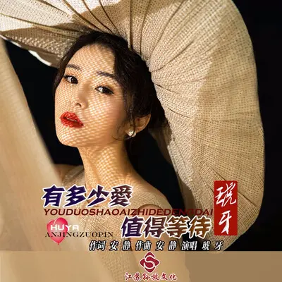 有多少爱值得等待封面