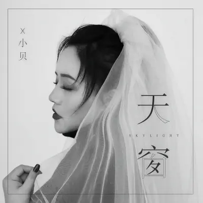 天窗封面