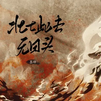 壮士此去无回头封面