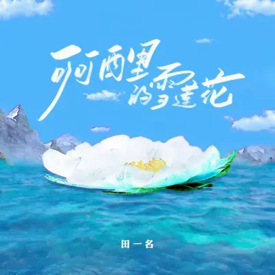 可可西里的雪莲花封面