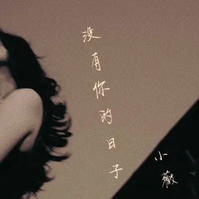 没有你的日子 (女版)封面