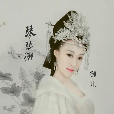 琴瑟御封面