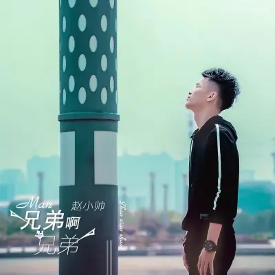 兄弟啊兄弟封面