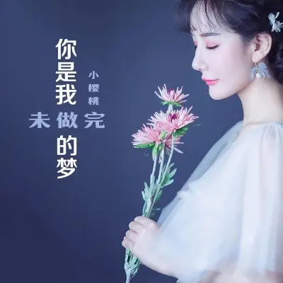 你是我未做完的梦封面