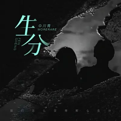 生分 (新编版)封面