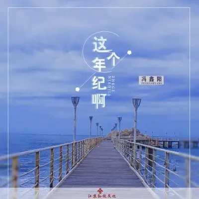 这个年纪啊 (完整版)封面