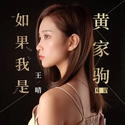 如果我是黄家驹 (国语版)封面
